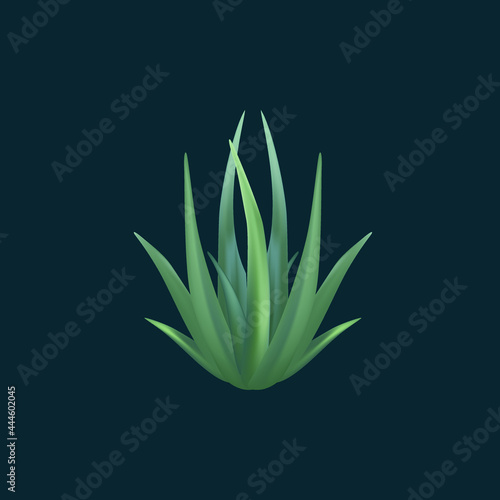 Agave plant vector illustration  isolated from background