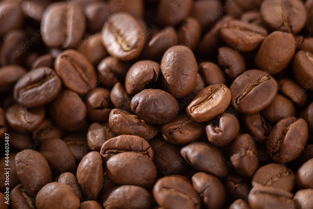 Fototapeta premium Raw and roasted coffee beans