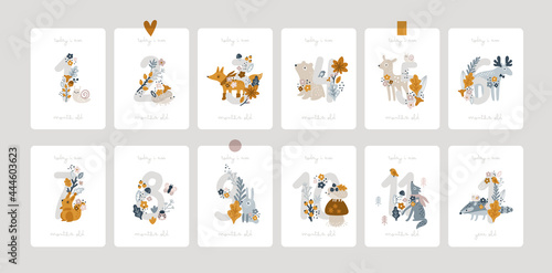 Milestone Cards with numbers, flowers, cute forest animals for boy or girl. Baby first 12 months. Nature prints for kids. Capture all the special moments newborn baby