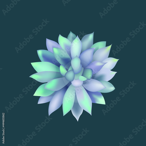 Watercolor green succulent isolated on white background vector illustration