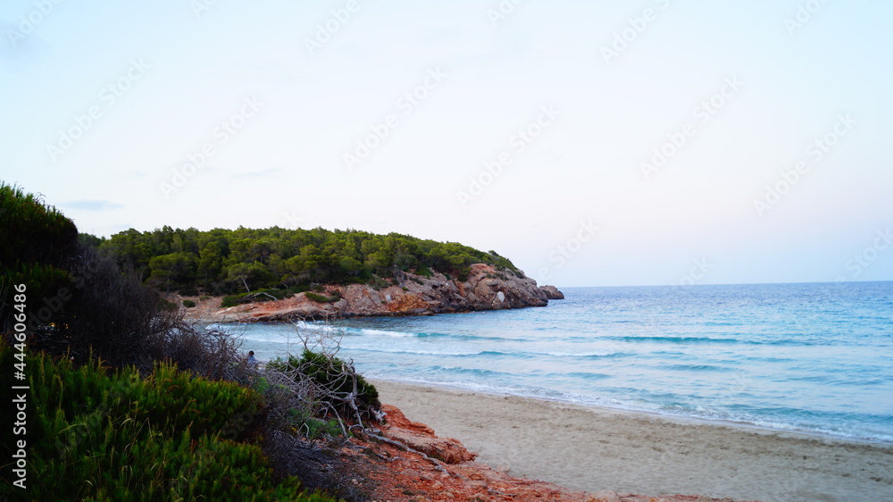 Obraz premium Ibiza Strand