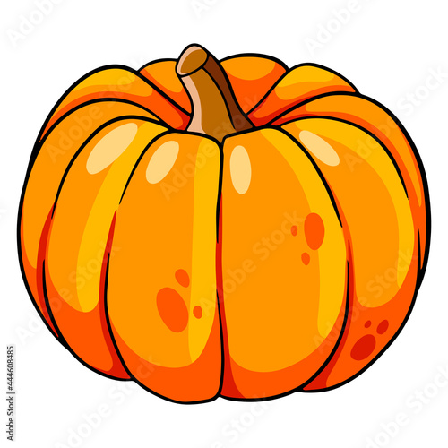 Vegetarian food. Ripe orange pumpkin. Halloween. Cartoon style.