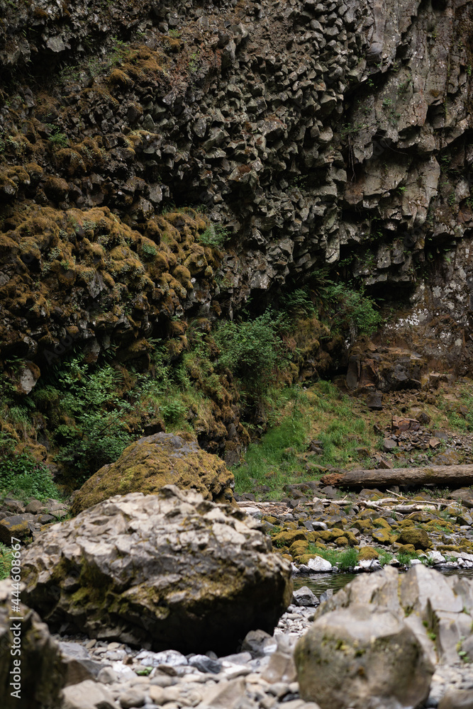 waterfall in the forest