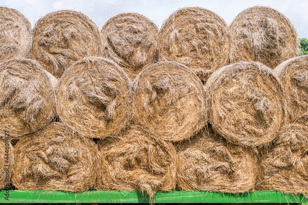 Stack of the hay bales