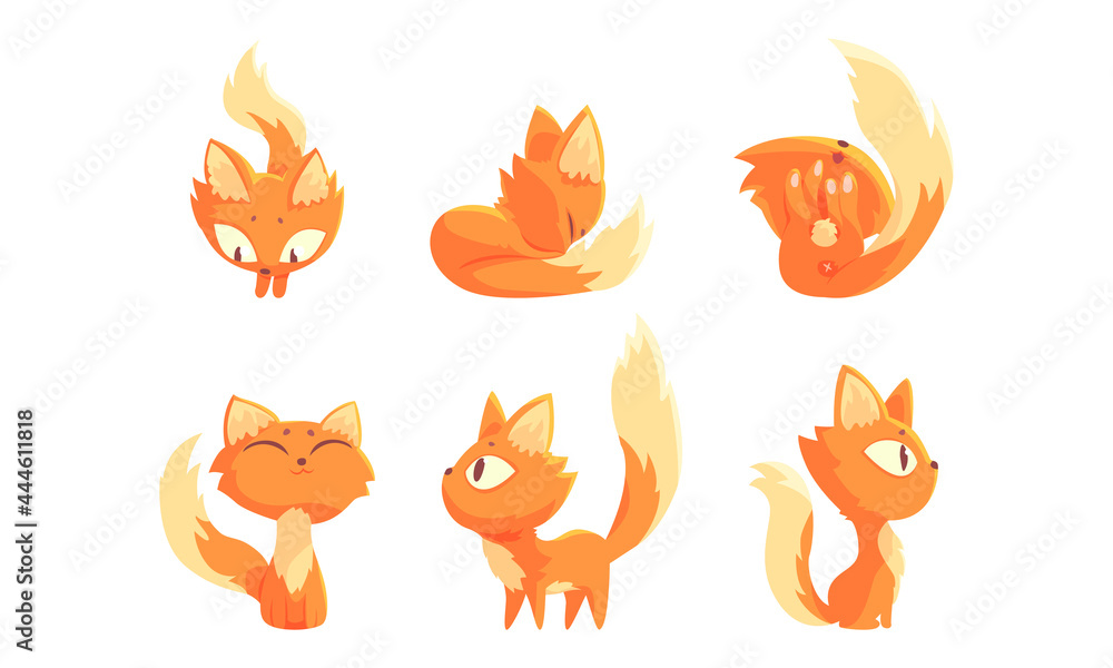 Fototapeta premium Cute Ginger Kitten Cuddling and Rolling on Its Back Vector Set