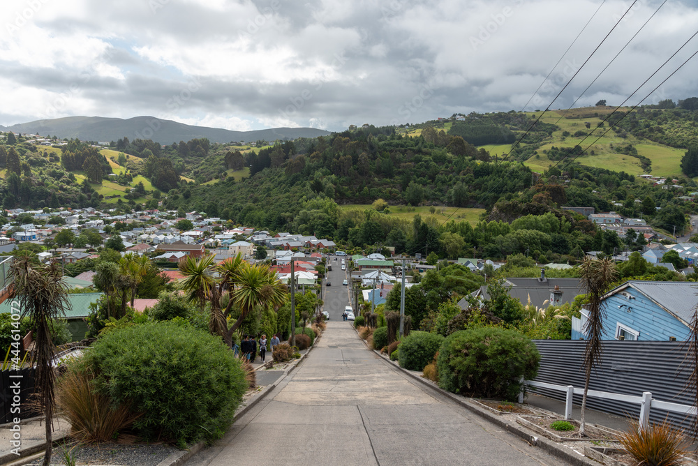 Famous Baldwin street in Dunedin, the steepest street in the world, New Zealand