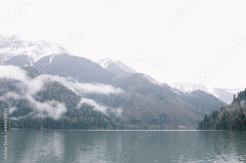 Natural landscape trees and water against the background of foggy snow-capped mountains