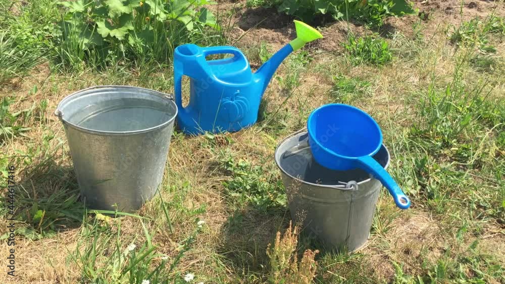 Metal buckets with clean water and a blue plastic watering can standing on the green grass in the garden on a hot sunny summer day. Concept gardening Metal buckets with clean water and a blue plastic watering can standing on the green grass in the garden on a hot sunny summer day. Concept gardening