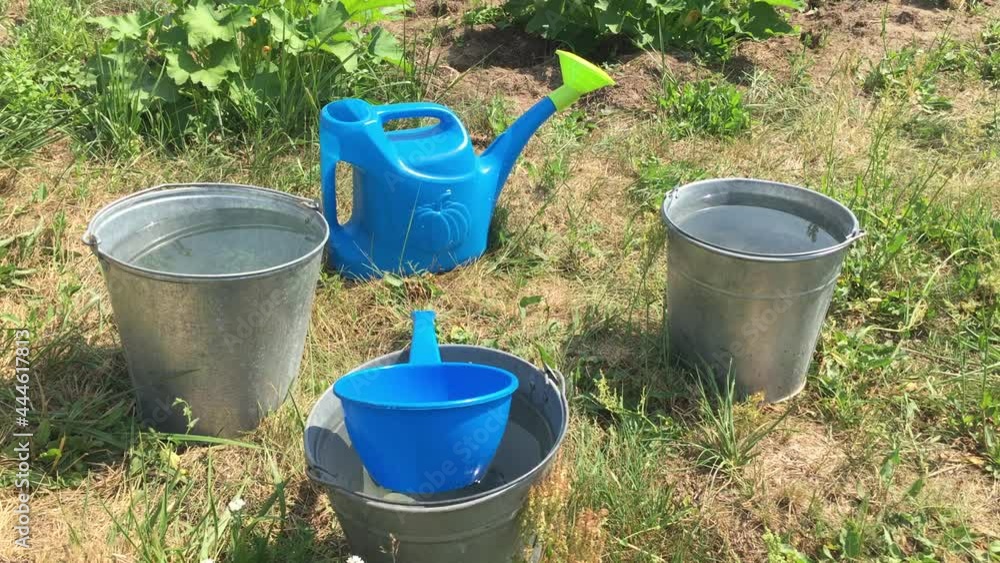 Three metal buckets with clean water swinging in the wind and a blue watering can on the grass in the garden on a hot sunny summer day. Concept gardening Three metal buckets with clean water swinging in the wind and a blue watering can on the grass in the garden on a hot sunny summer day. Concept gardening