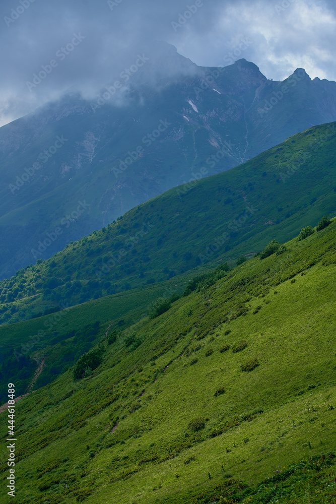 Fototapeta premium Landscape