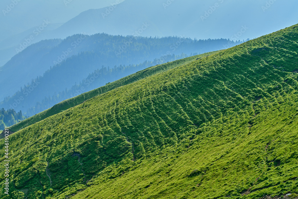 Obraz premium Landscape