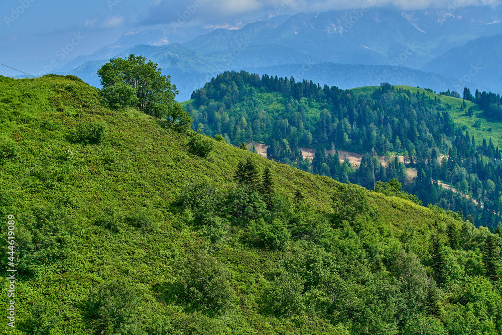 Obraz premium Landscape