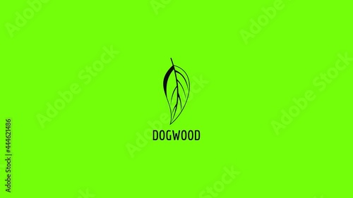 Dogwood leaf icon animation photo