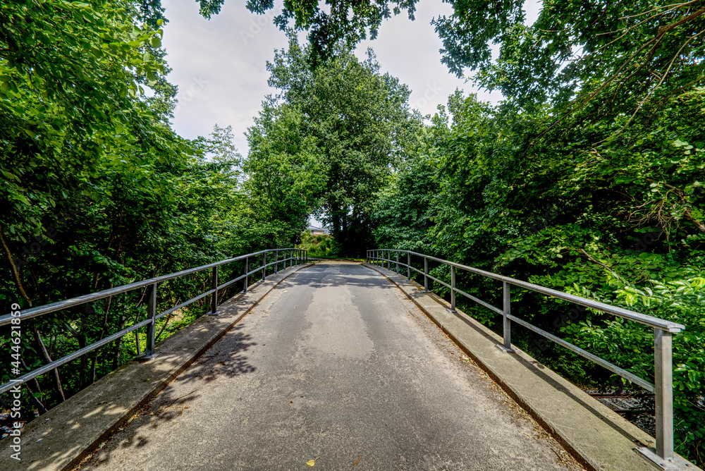 scenic view of a bridge protected by railings