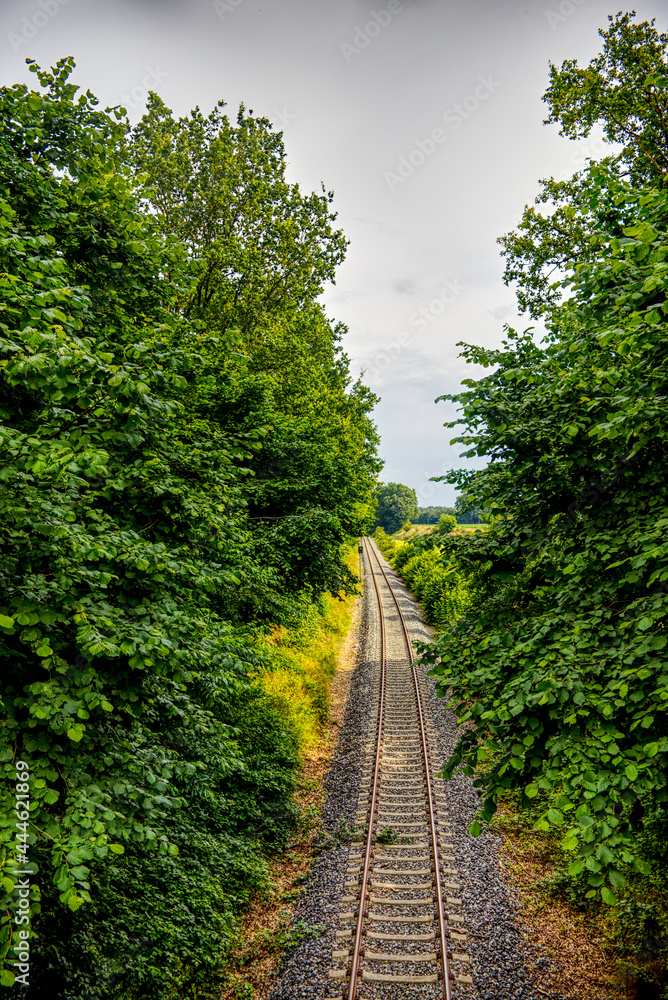 scenic view of a railway through the trees scenic view of a railway through the trees