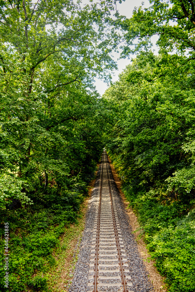 scenic view of a railway through the trees scenic view of a railway through the trees