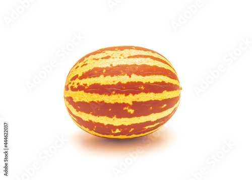 Studio shot homegrown Russian Melon or Rich Sweetness melons isolated on white