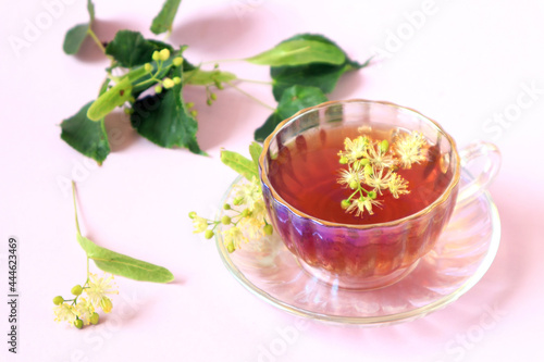 The concept of taking medicinal herbal teas.A cup of tea with linden flowers, green branches on a light background, side view.