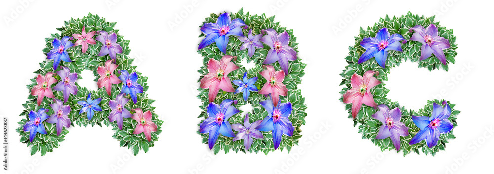 The letters A, B, C are made of Clematis flowers