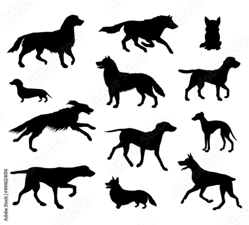 Vector set bundle of hand drawn dog silhouette isolated on white background