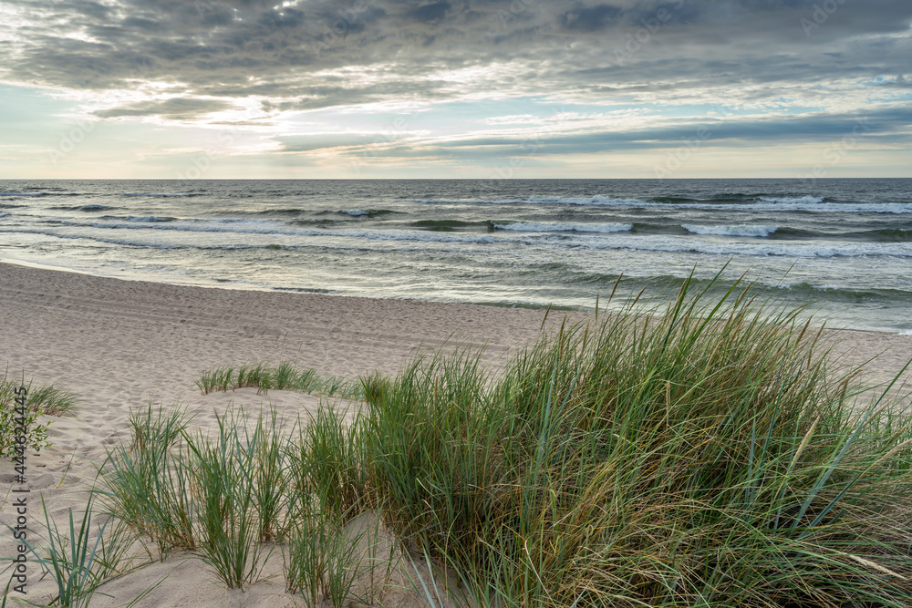 Sandy beach on the Baltic Sea - obrazy, fototapety, plakaty 