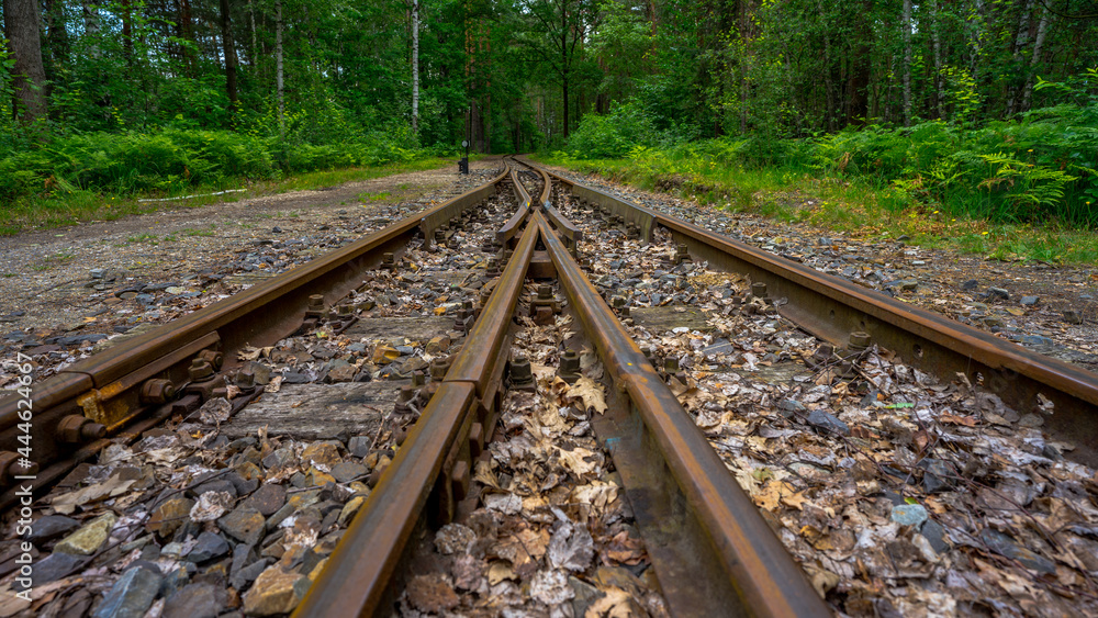Fototapeta premium Bahnschienen