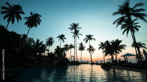 View of tropical palm beach during beautiful sky twilight. © De Visu