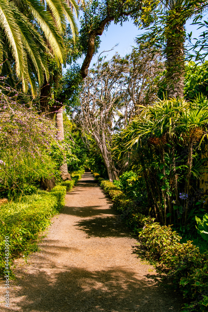 Sendero rodeado de vegetación en el Puerto de la Cruz, Isla de Tenerife Sendero rodeado de vegetación en el Puerto de la Cruz, Isla de Tenerife