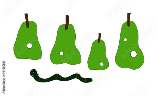 Illustration von einer Raupe und vier Birnen mit Fresslöchern