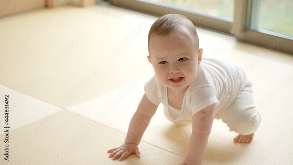 はいはいをする笑顔の赤ちゃん	