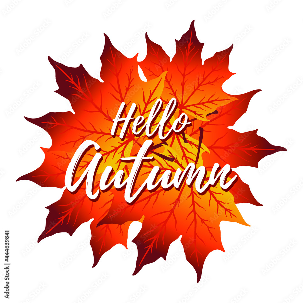 Vector background with hand lettering Hello autumn and leaves Vector background with hand lettering Hello autumn and leaves