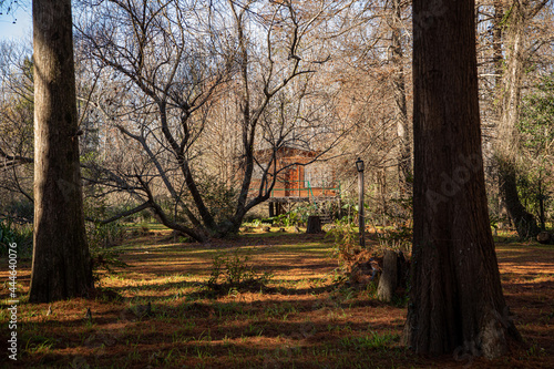Delta del Paraná, Tigre, provincia de Buenos Aires, Argentina.