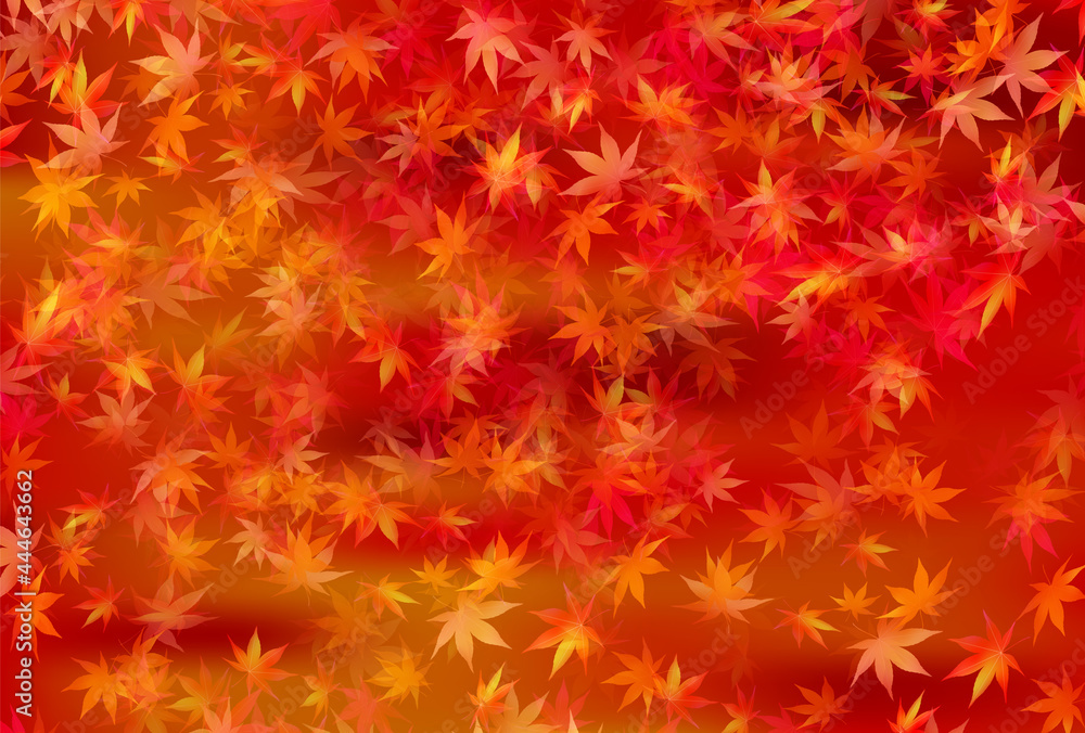 紅葉 もみじ 秋 背景 紅葉 もみじ 秋 背景