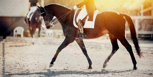 Equestrian sport. The leg of the rider in the stirrup, riding on a red horse.