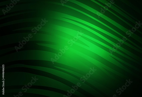 Dark Green vector template with curved lines.