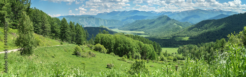 Panoramic view of the mountain valley from the pass, summer greenery of meadows and forests © Valerii