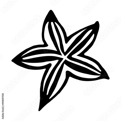 Star anise vector icon. Isolated illustration on a white background. Hand-drawn doodle. Black thin contour of spices. Seasoning for sweet dishes. Sketch, outline of food. Monochrome.