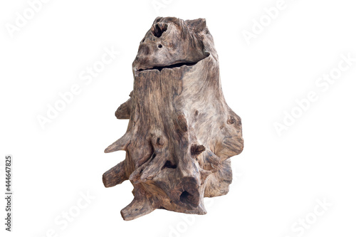 Dead tree stump isolated on white background  included clipping path.