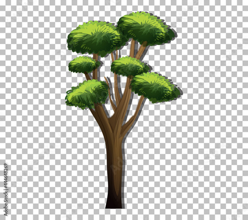 A tree with green leaves on transparent background