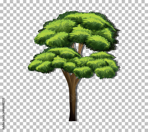 A tree with green leaves on transparent background