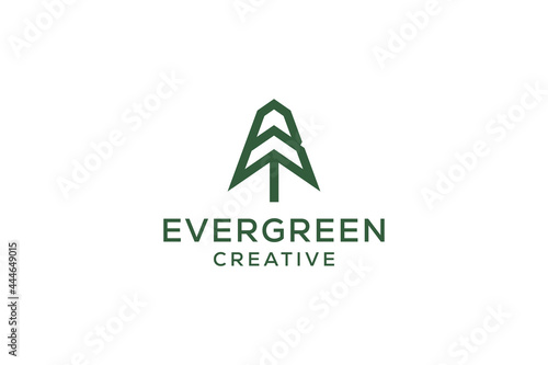 Letter B pine evergreen. fir hemlock spruce conifer cedar coniferous cypress larch pinus tree forest vintage retro hipster line art Logo design