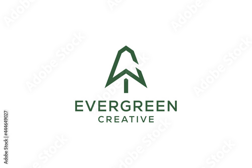 Letter C pine evergreen. fir hemlock spruce conifer cedar coniferous cypress larch pinus tree forest vintage retro hipster line art Logo design