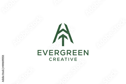 Letter K pine evergreen. fir hemlock spruce conifer cedar coniferous cypress larch pinus tree forest vintage retro hipster line art Logo design