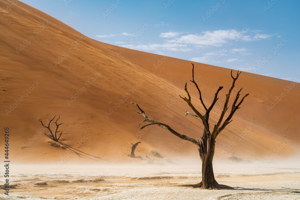 Dead Camelthorn tree against towering sand dunes at Deadvlei in the Namib-Naukluft National Park, Namibia, Africa.