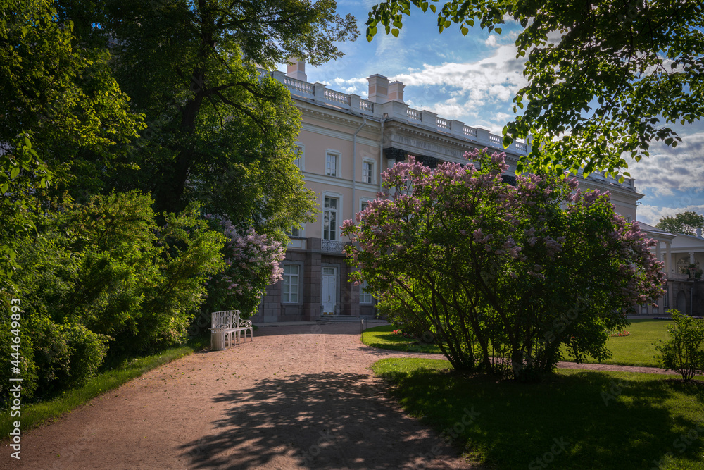 View of the alley with a bench and blooming lilac bushes in the Catherine Park and the Catherine Palace in the background in Tsarskoye Selo on a sunny spring day. Pushkin, St. Petersburg. Russia