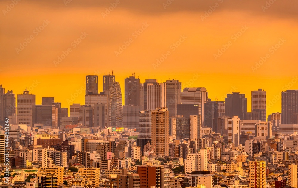 Fototapeta premium 東京風景 新宿 夕景