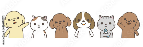 犬と猫　整列カメラ目線