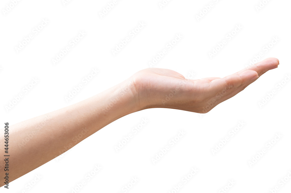 isolated of woman hand holding something like a bottle or can. isolated of woman hand holding something like a bottle or can.