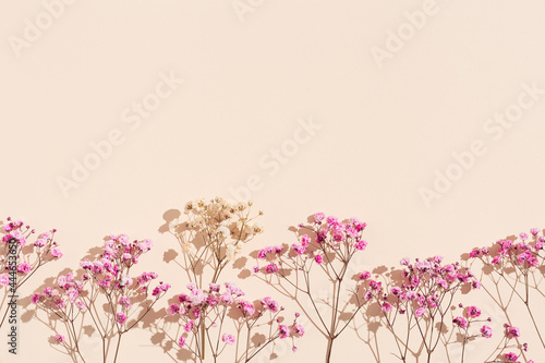 Minimal natural layout made with small pink flowers on beige colored background. Floral visuals with sunlight and shadows, pastel monochrome colored image with neutral tones.
