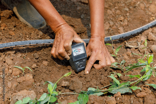 Farmers use soil PH measurement tools to check the quality before planting. © kamonrat